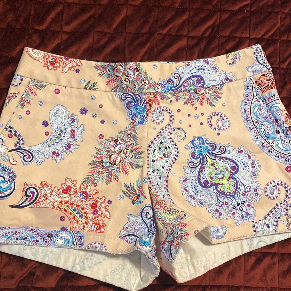 Express Shorts Bundle - image 2